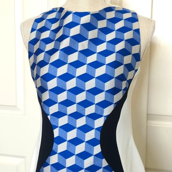 Antonio Berardi Vogue Runway Dress - Picture 4 of 10